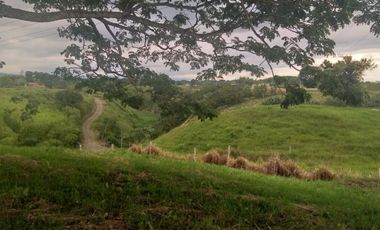 Lote Sector Alcala Valle