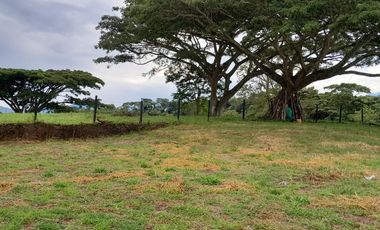 Lote Sector Alcala Valle