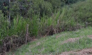 Lote Sector Alcala Valle