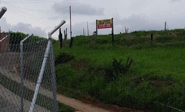 Lote Sector Alcala Valle