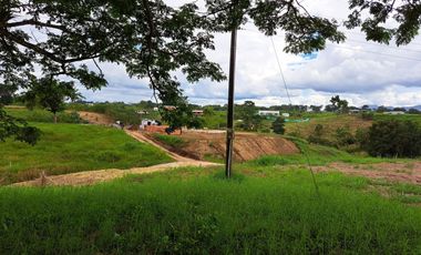 Lote Sector Alcala Valle