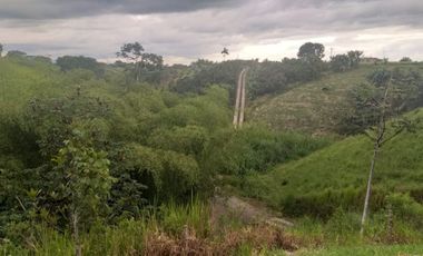 Lote Sector Alcala Valle