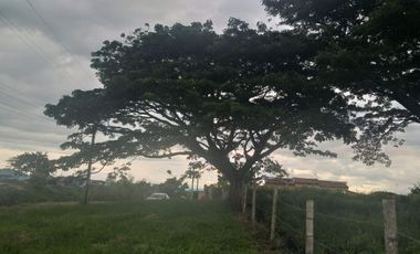 Lote Sector Alcala Valle