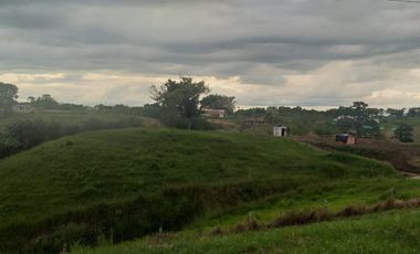 Lote Sector Alcala Valle