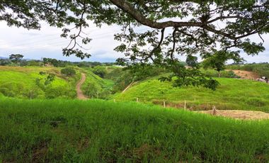 Lote Sector Alcala Valle