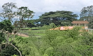 Lote Sector Alcala Valle