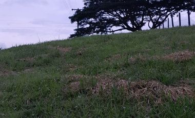 Lote Sector Alcala Valle