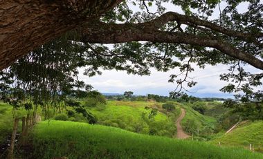 Lote Sector Alcala Valle