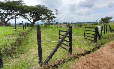 Lote Sector Alcala Valle