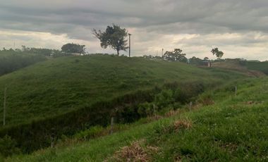 Lote Sector Alcala Valle