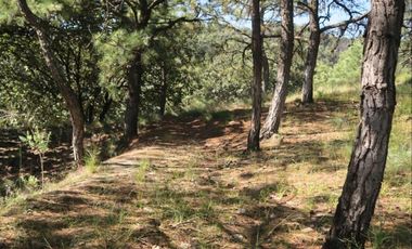 Terreno en la Primavera, cerca del Autodromo Jalisco