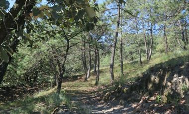 Terreno en la Primavera, cerca del Autodromo Jalisco