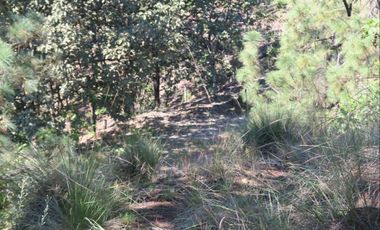 Terreno en la Primavera, cerca del Autodromo Jalisco