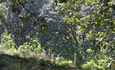 Terreno en la Primavera, cerca del Autodromo Jalisco