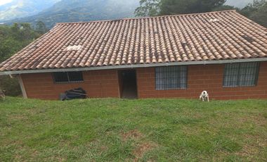 VENDO FINCA PLANA CON INMENSA CASA EN BARBOSA ANTIOQUIA.