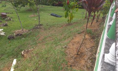 VENDO FINCA PLANA CON INMENSA CASA EN BARBOSA ANTIOQUIA.