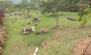 VENDO FINCA PLANA CON INMENSA CASA EN BARBOSA ANTIOQUIA.