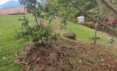 VENDO FINCA PLANA CON INMENSA CASA EN BARBOSA ANTIOQUIA.