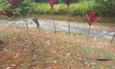 VENDO FINCA PLANA CON INMENSA CASA EN BARBOSA ANTIOQUIA.