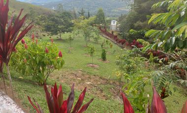 VENDO FINCA PLANA CON INMENSA CASA EN BARBOSA ANTIOQUIA.