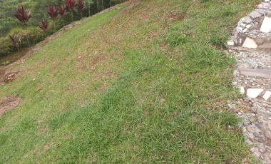 VENDO FINCA PLANA CON INMENSA CASA EN BARBOSA ANTIOQUIA.