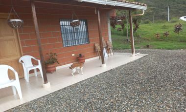 VENDO FINCA PLANA CON INMENSA CASA EN BARBOSA ANTIOQUIA.