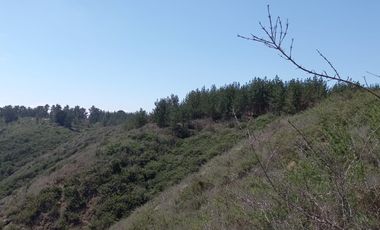 VENTA DE TERRENO EN EL TABO 13.000Mtrs2, utilizables 5.500Mtrs2, VALOR $135.000.000