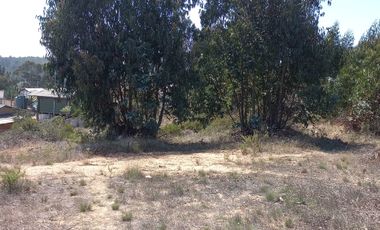 VENTA DE TERRENO EN EL TABO 13.000Mtrs2, utilizables 5.500Mtrs2, VALOR $135.000.000