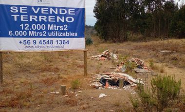 VENTA DE TERRENO EN EL TABO 13.000Mtrs2, utilizables 5.500Mtrs2, VALOR $135.000.000