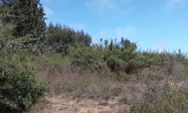 VENTA DE TERRENO EN EL TABO 13.000Mtrs2, utilizables 5.500Mtrs2, VALOR $135.000.000