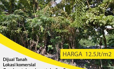 Dijual Tanah Komersial Sangat Dekat UNTAG di Manyar Rejo, Surabaya