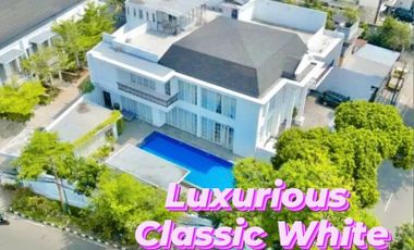 Luxurious Classic White Luas 842 Cempaka Putih