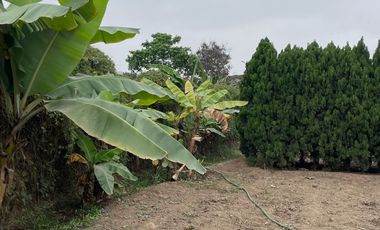 vendo terreno para casa de campo y fundo $180,000