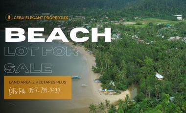 Seaside Serenity: Beach Lot for Sale in Port Barton, Palawan