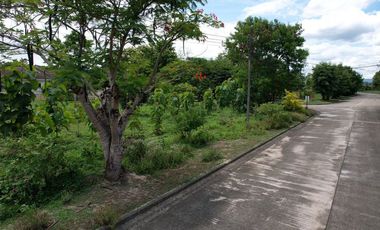 Land for Sale in Summit Green Valley - Mae Sa, Mae Rim District, Chiang Mai