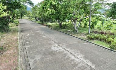 Land for Sale in Summit Green Valley - Mae Sa, Mae Rim District, Chiang Mai