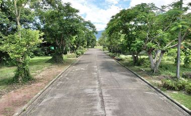 Land for Sale in Summit Green Valley - Mae Sa, Mae Rim District, Chiang Mai