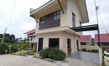 PROMO!!! MOVE-IN IN 6 MONTHS and waived Move-in fee and bank fees 4- bedroom single detached house and lot for sale in Luana Homes Minglanilla Cebu