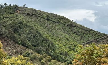 VENDO FINCA AGUACATERA EN SAN VICENTE FERRER ANTIOQUIA.