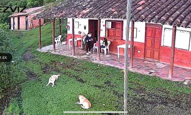 VENDO FINCA AGUACATERA EN SAN VICENTE FERRER ANTIOQUIA.