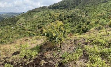 VENDO FINCA AGUACATERA EN SAN VICENTE FERRER ANTIOQUIA.