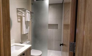 New 3 Storey Townhouses in Mandaluyong City with Roof Deck For Sale
