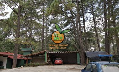 2 CABAÑAS EN UN TERRENO DE 3,000 EN TAPALPA, JALISCO