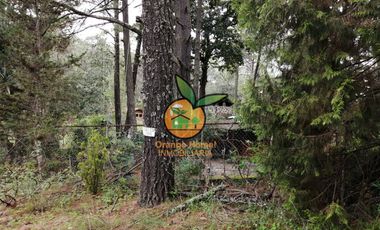 2 CABAÑAS EN UN TERRENO DE 3,000 EN TAPALPA, JALISCO