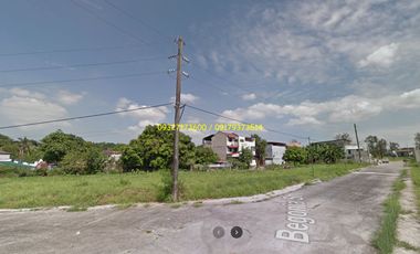 Residential Lot For Sale Near Quirino High School Geneva Garden Neopolitan VII