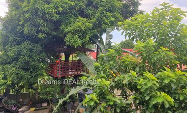 CASTILLEJOS 10-DOOR APARTMENT FOR SALE