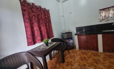 CASTILLEJOS 10-DOOR APARTMENT FOR SALE