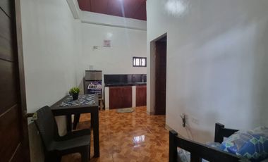 CASTILLEJOS 10-DOOR APARTMENT FOR SALE
