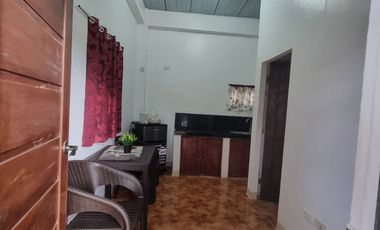 CASTILLEJOS 10-DOOR APARTMENT FOR SALE