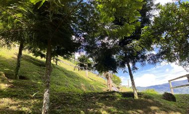 Venta Finca sector variante a Caldas, en La Estrella Antioquia